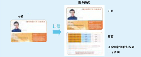 1547542430541112.jpg 10.jpg